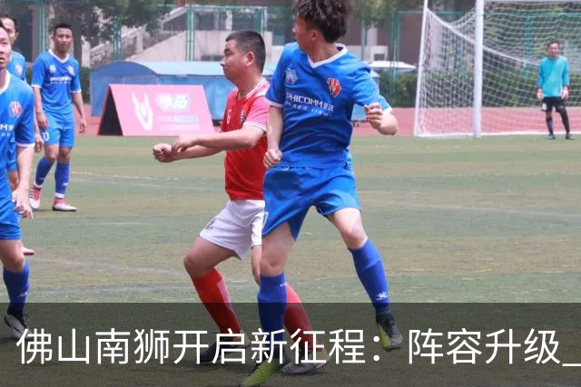 佛山南狮开启新征程：阵容升级 目标中甲前八