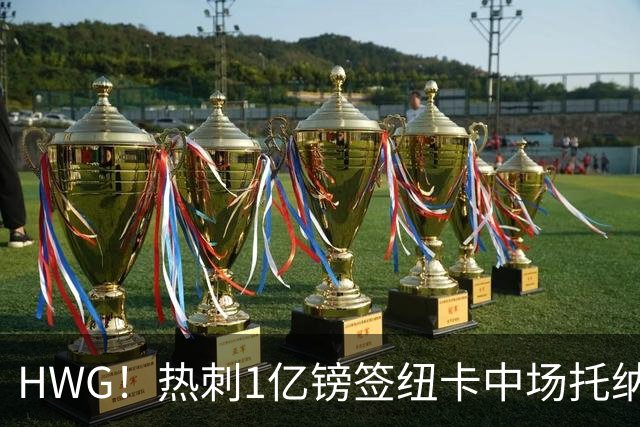 HWG！热刺1亿镑签纽卡中场托纳利 今夏1.85亿镑签2中场